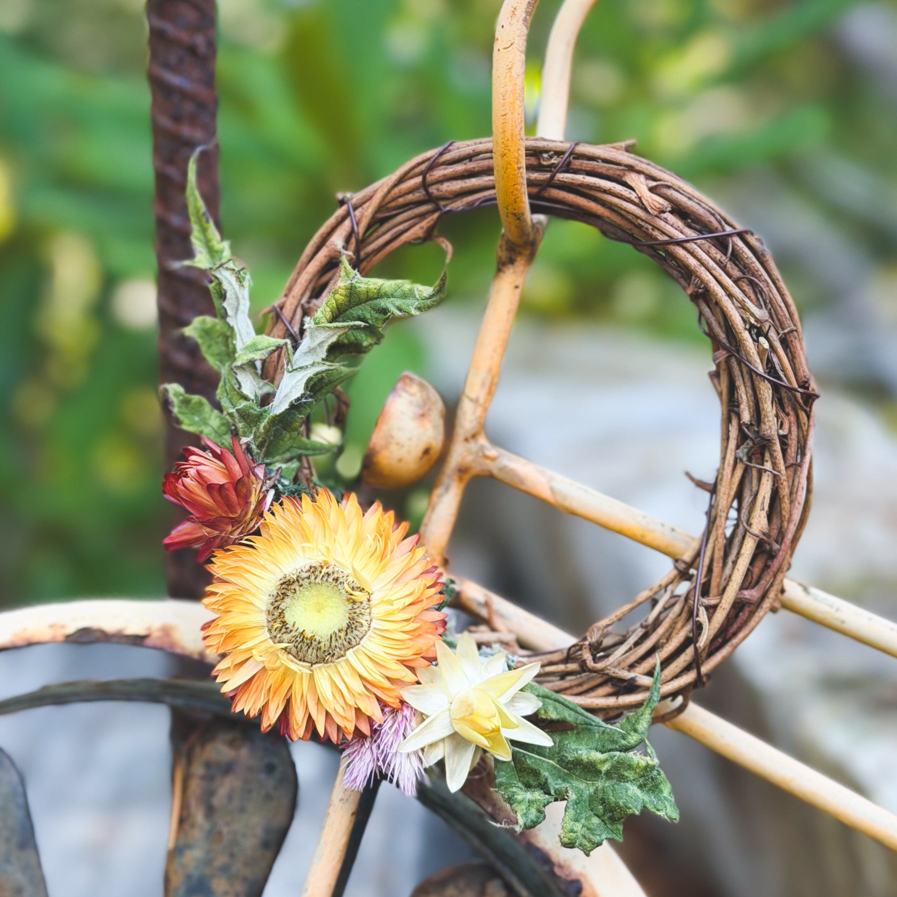 Grapevine Wreath