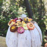 Hey There, Pumpkin