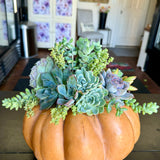 Succulent Pumpkin