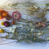 DIY Kit Dried Flower Hoop